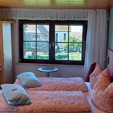 Mini-hôtel Gaestehaus Ainser Hagnau am Bodensee